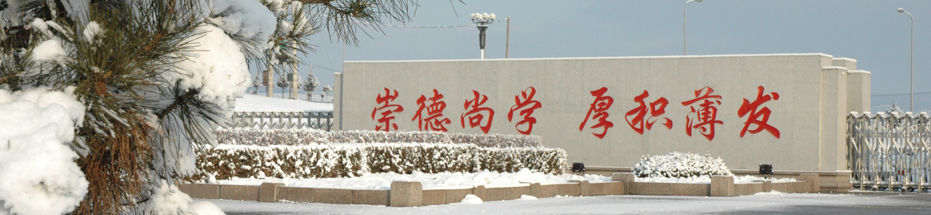 业务指南横幅